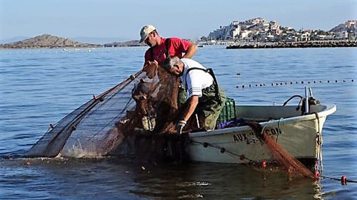 fishingtripspain.co.uk fishing trips at Murcia with Sparus